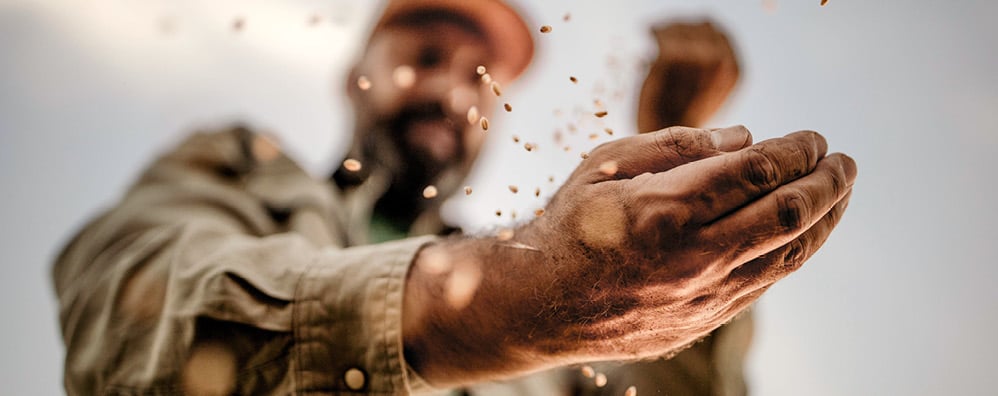 Man planting seeds