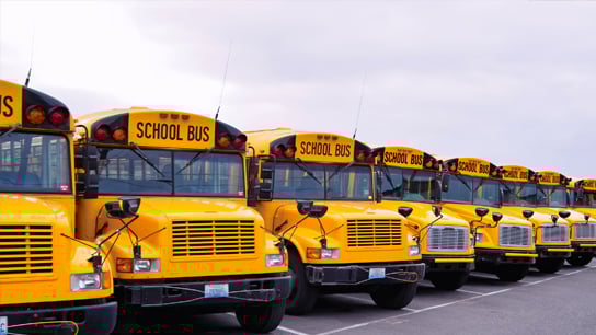 School buses parked in a row