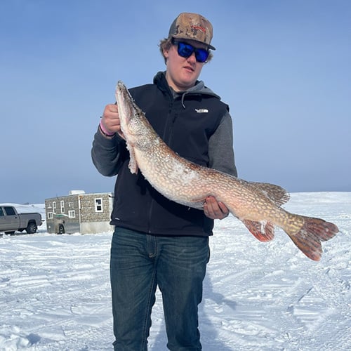 BELMKT-41024 GRAPHICS Pay It Forward Story  Brady Procknow_500x500_2