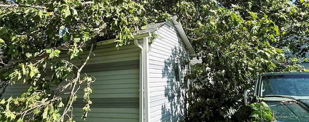 Pay It Forward - Timing is Everything_header