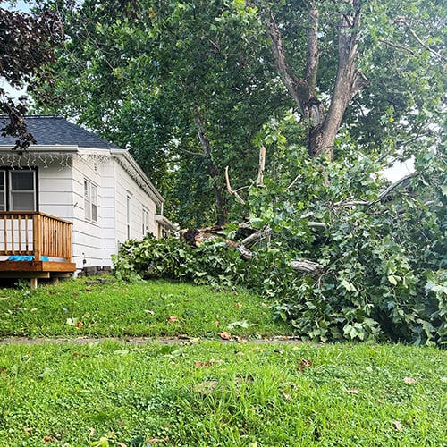 Pay It Forward - Timing is Everything_1