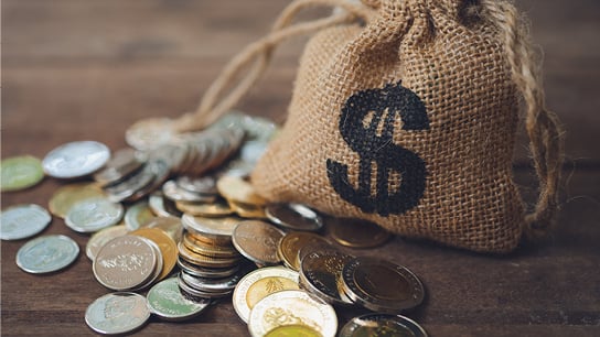Brown bag of coins with dollar sign sits on top of coins