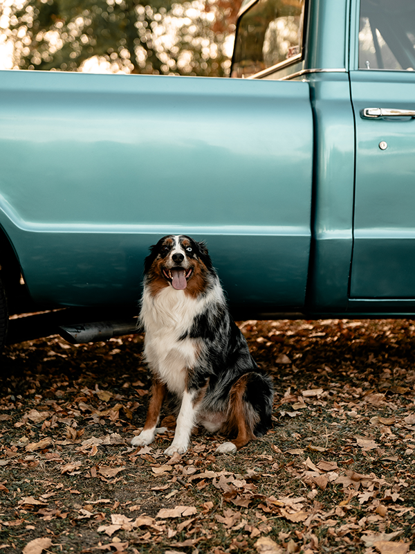 Irena_Johnson_Photo_7