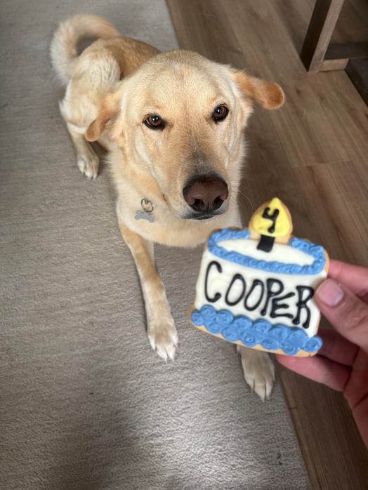 Lane Tucker-Lifestyle Photo-pet dog, Cooper