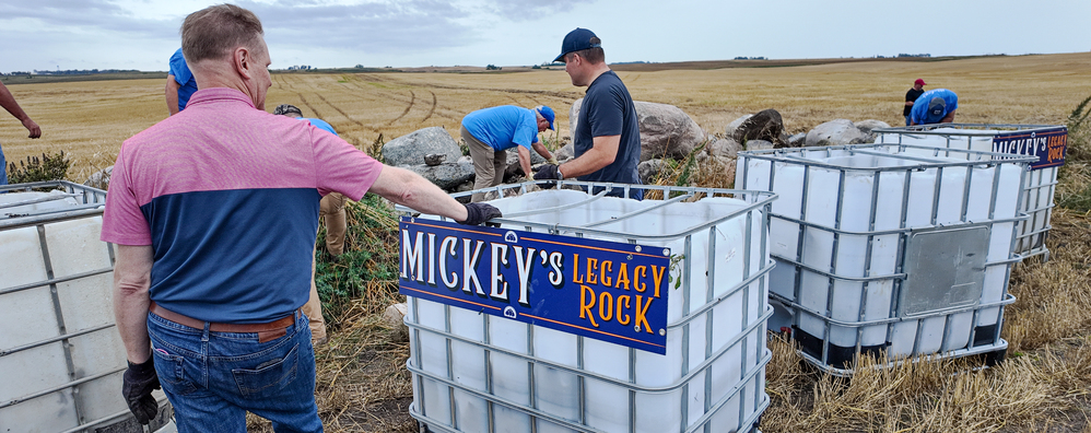 Bell Bank employees picking rocks.