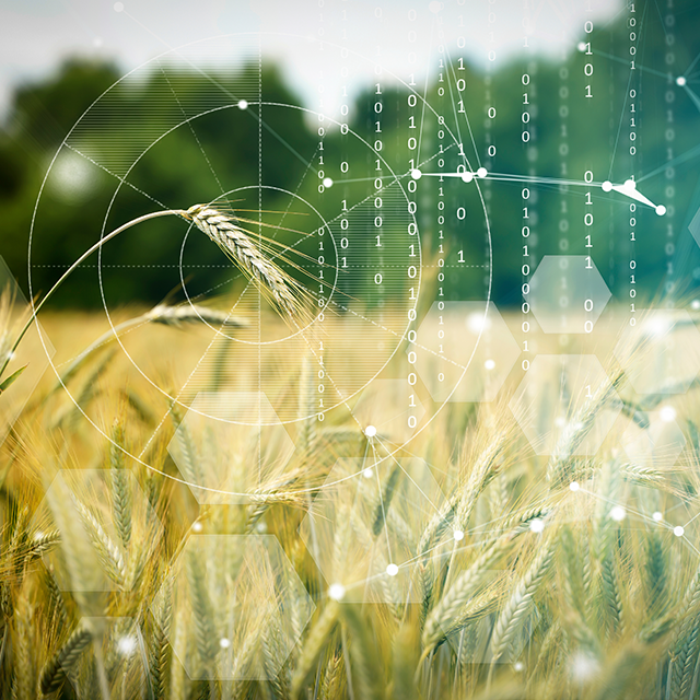 AI and Tech Are Powering Agribusiness Deal Flow