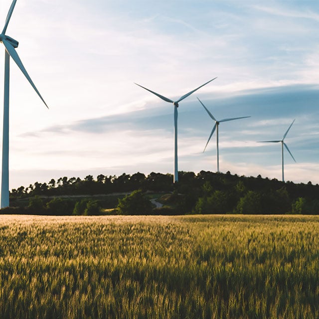 Budget 2025 and the Canada Alberta Memorandum