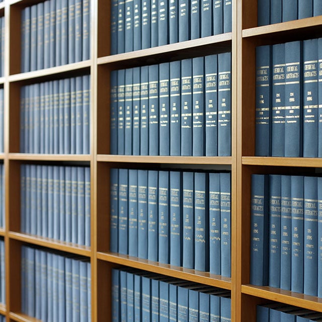 Court of Appeal Addresses Scope of Charter Review in Securities Investigations