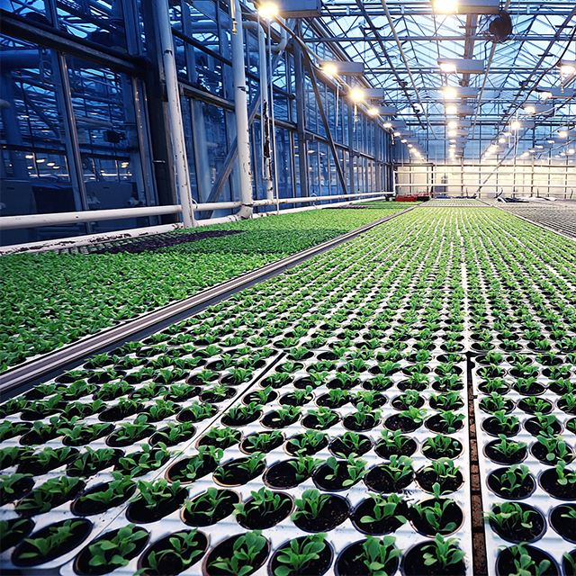 Fast Tracks and Green Gaps Part IV
