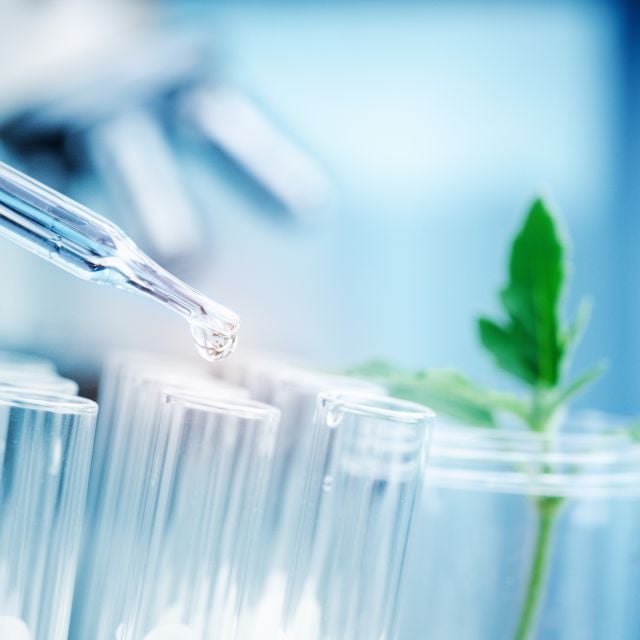 Federal Government Publishes Prohibition of Certain Toxic Substances Regulations