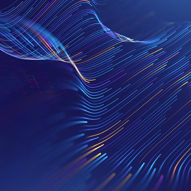 Privacy Goes to the Top Court