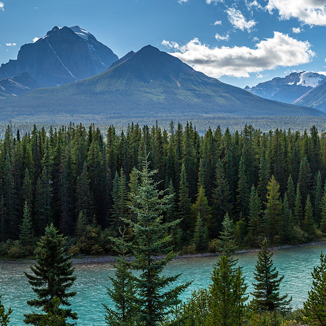 Alberta Announces Changes to TIER What You Need to Know