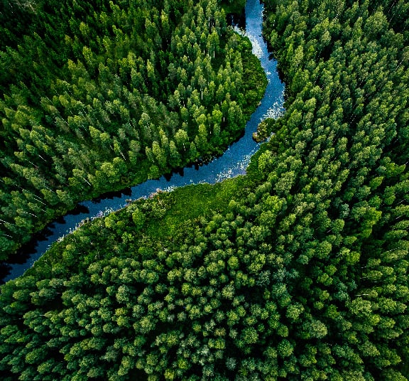 Changements climatiques