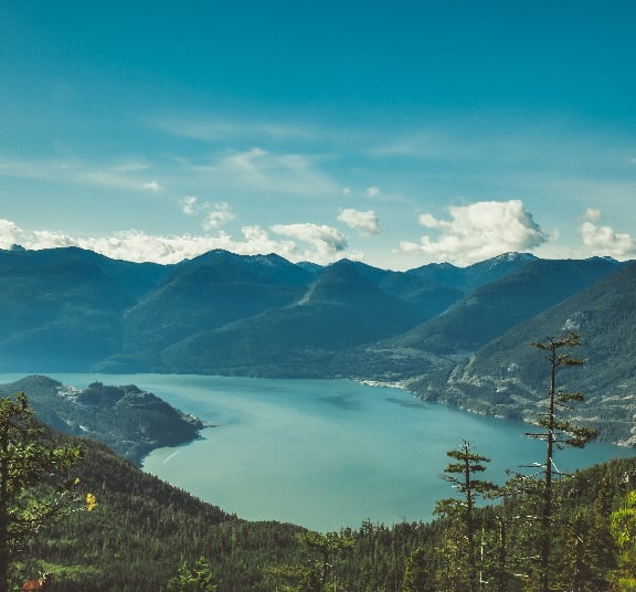 Droit de l'environnement