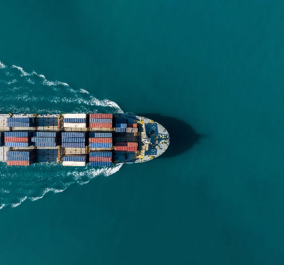 International Trade & Investment