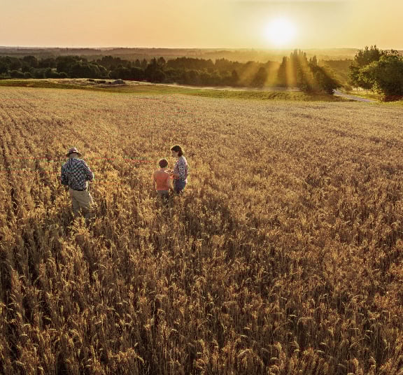 Farm field