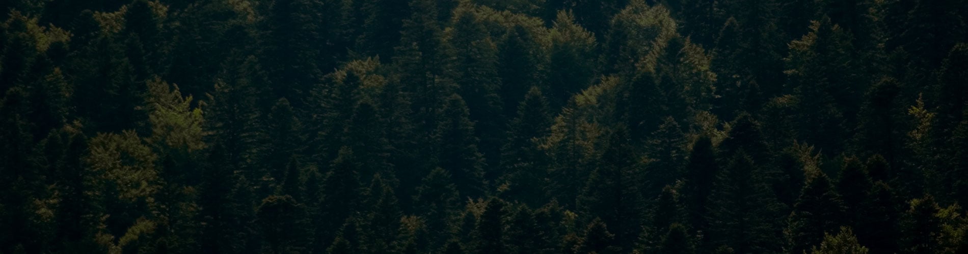 ESG