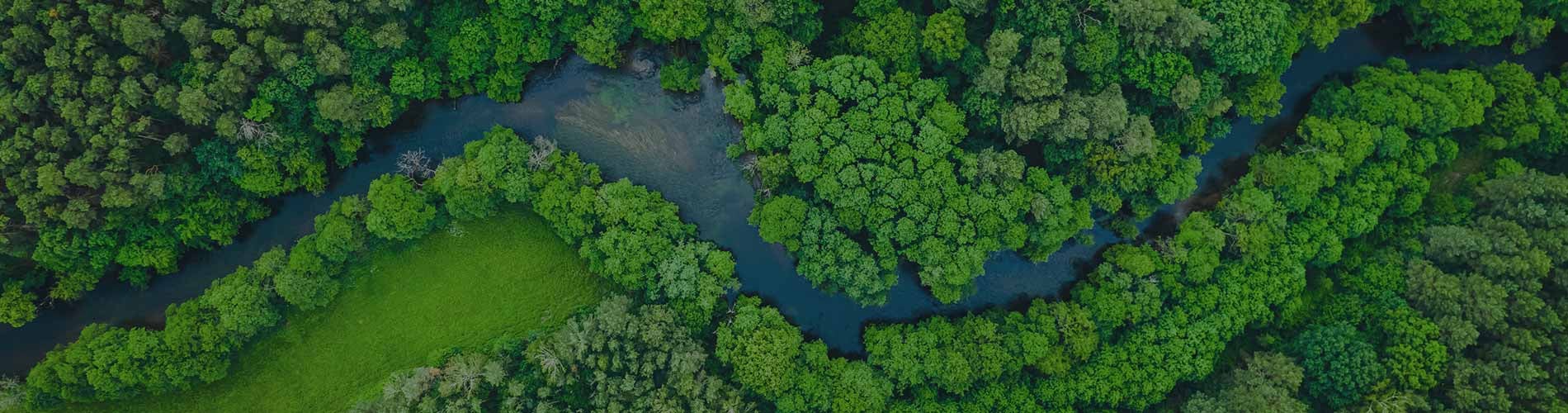 Achieving Net Zero by 2050 The MMV Plan