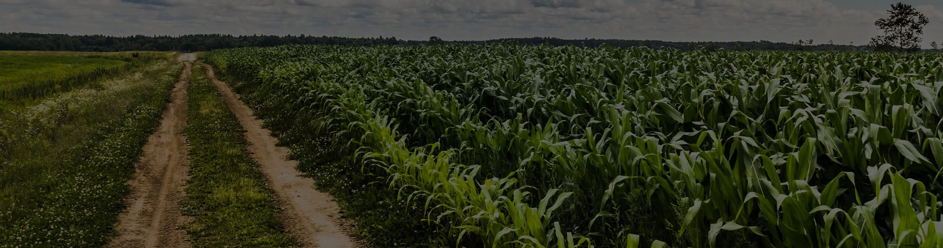 agribusiness, canadian agriculture