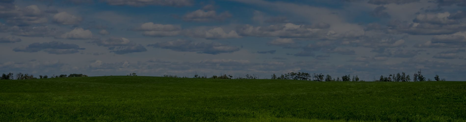 Prosper Rigel Project