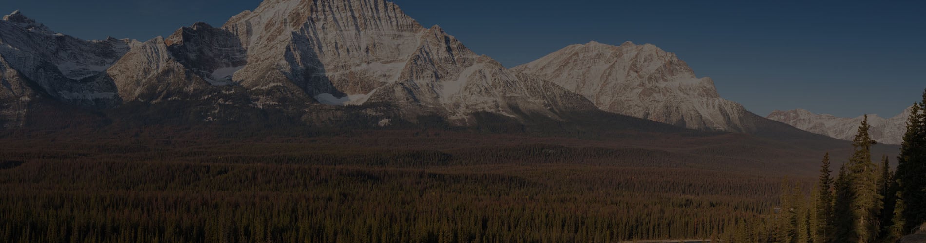 Alberta’s Site Rehabilitation Program