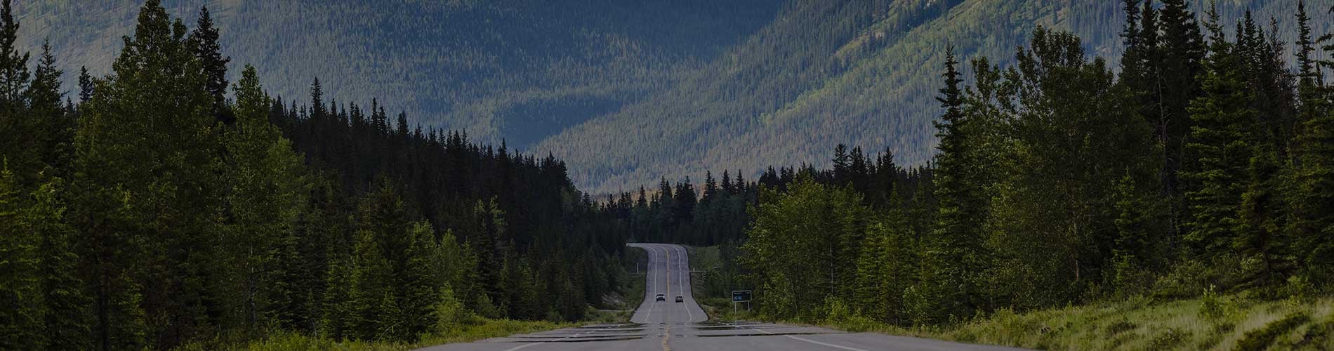 Summary of Bill 206 and Proposed Amendments to the Responsible Energy Development Act