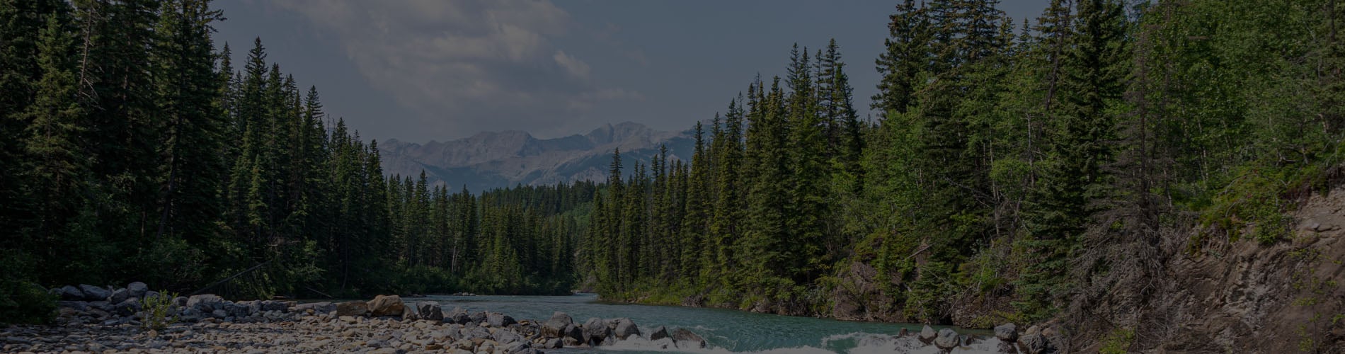 Coal Conservation Act, Oil and Gas Conservation Act, Oil Sands Conservation Act 