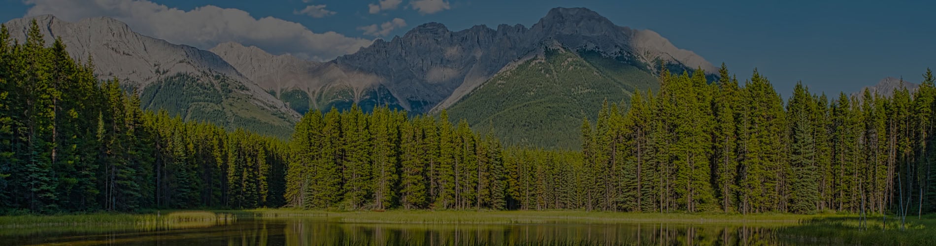Alberta Environment and Parks, ministerial orders and covid-19