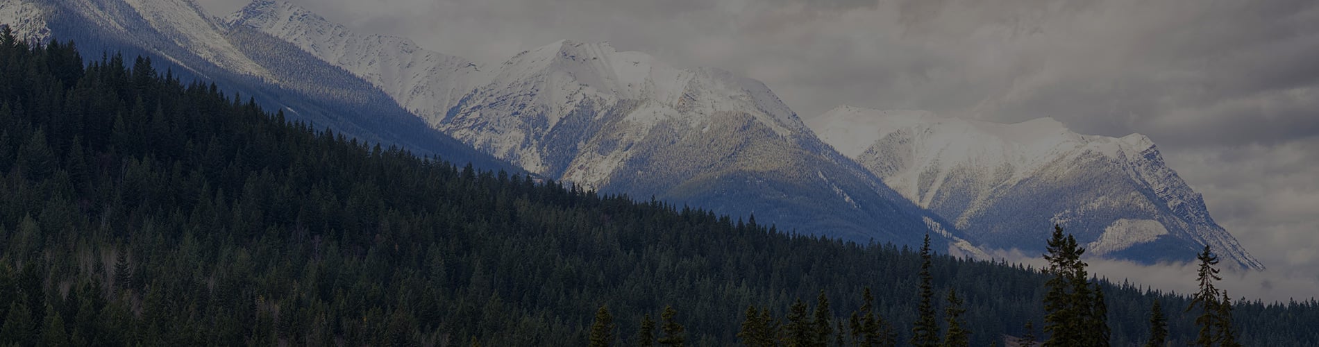 BC New Energy Economy