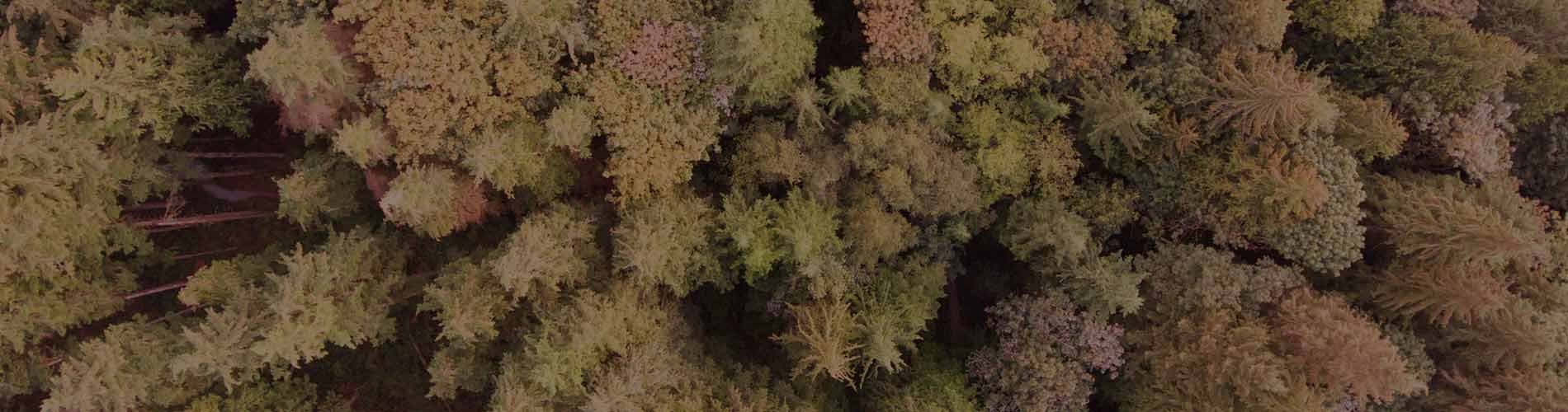 British Columbia land