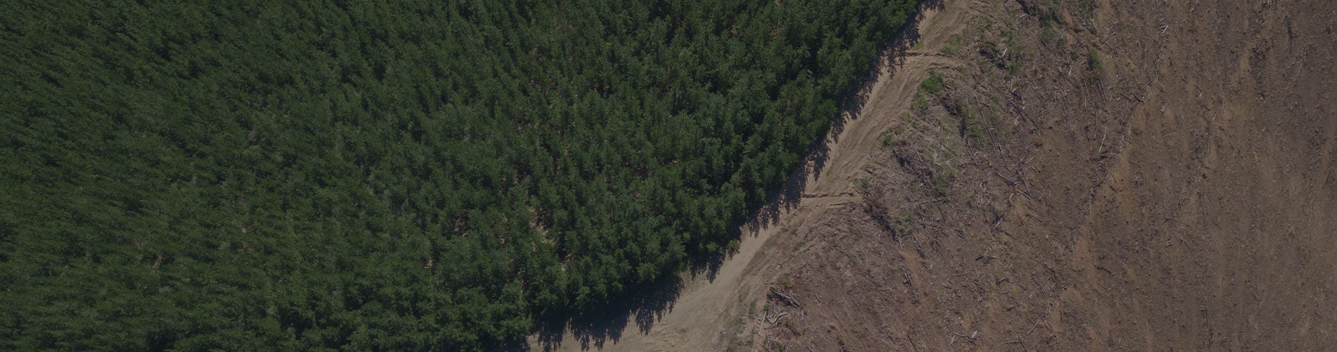 Blueberry River First Nation, Treaty 8 First Nations and Province of British Columbia Sign Historic Agreements