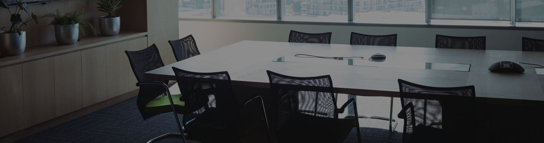 Canadian Proxy Voting Guidelines