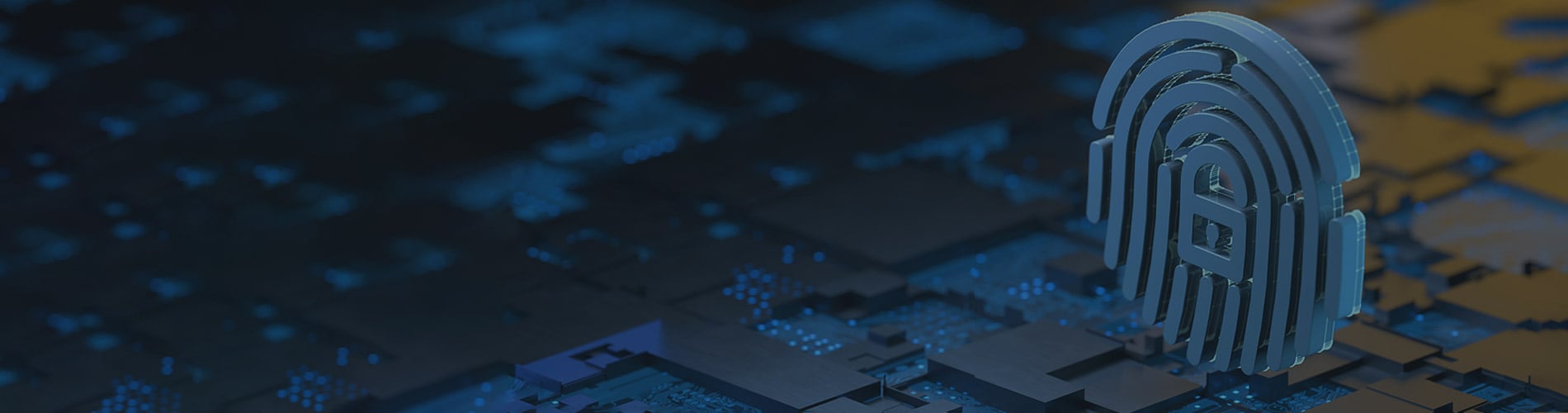 British Columbia Employer Found Vicariously Liable for Data Breach