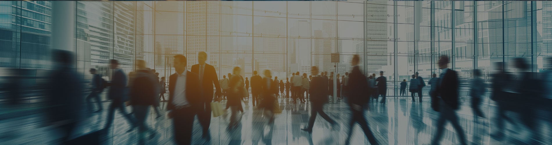 Differences in Consumer Protection Legislation Continue to Deter National Consumer Protection
