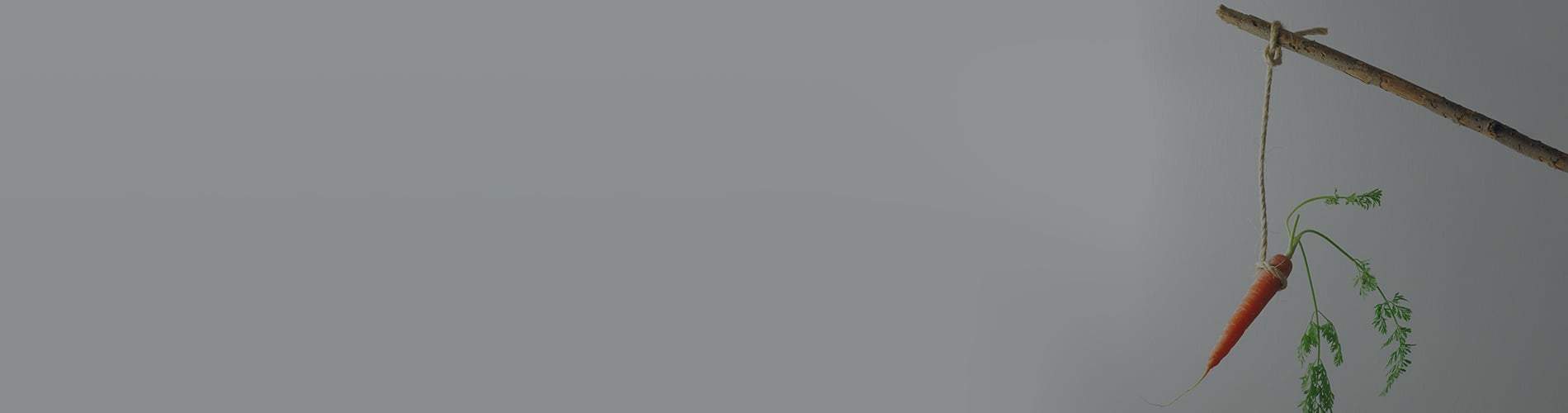 Canada Using the Carrot Instead of the Stick to Decarbonize in Budget 2023