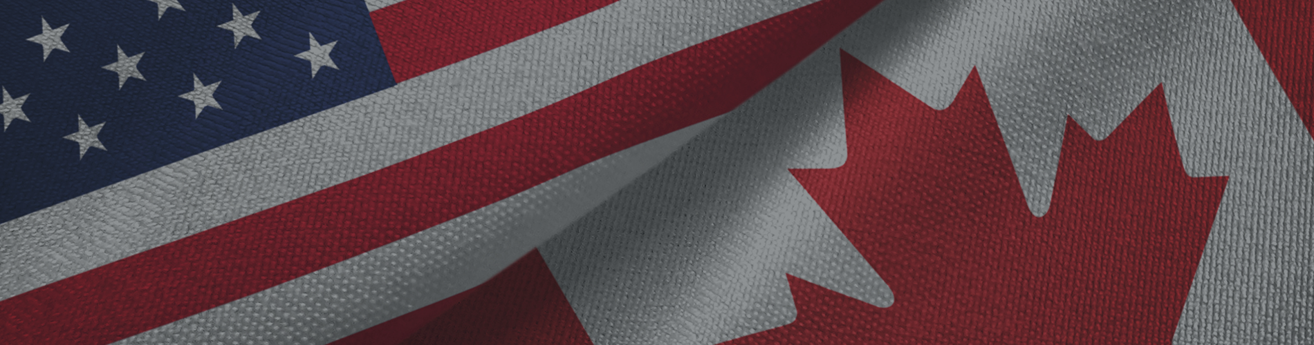 Canadian Government Financing for Large Enterprises