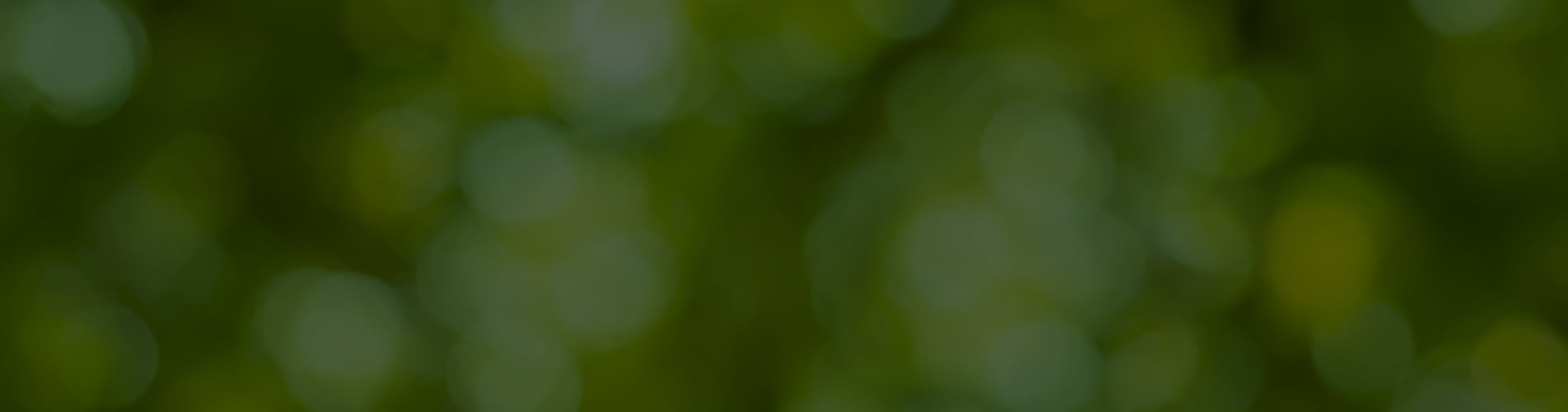 Securities Regulators Provide Guidance to Improve Transparency for Reporting Issuers