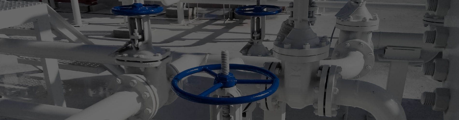 Albertas Leadership in Decarbonization