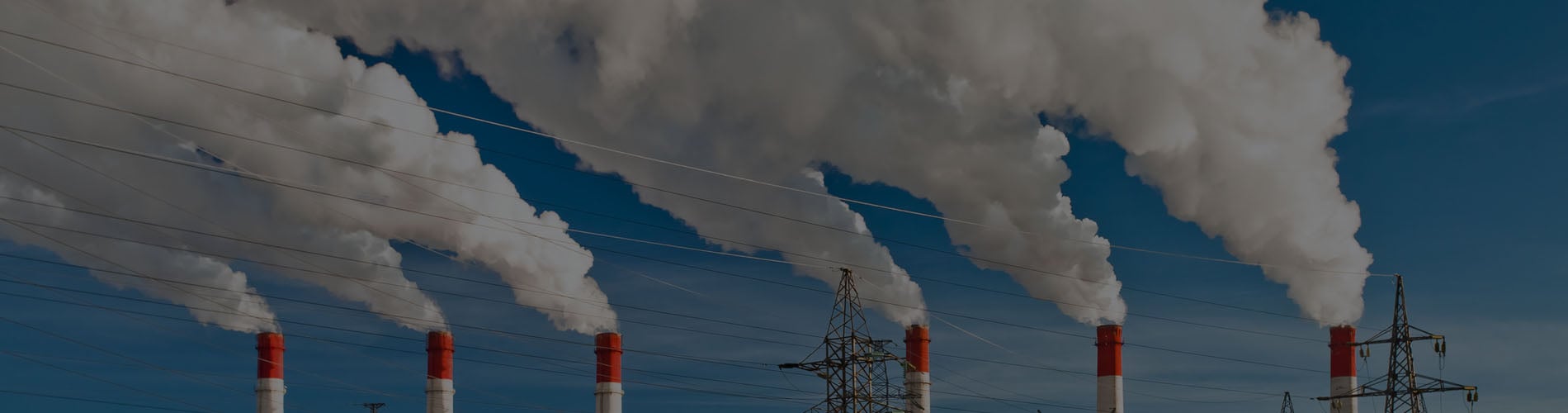 Carbon Backstop