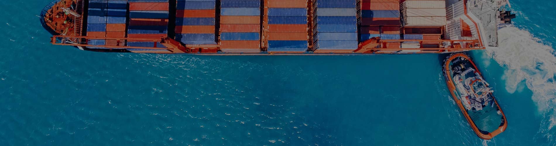 international trade and investment law