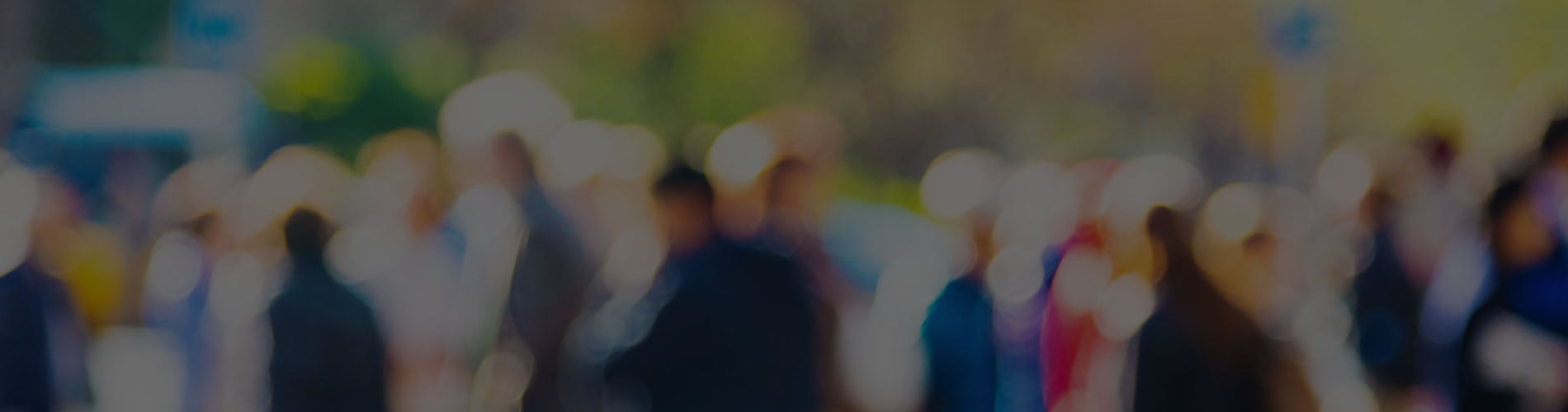 class action lawyer, class action lawsuit, litigation lawyer