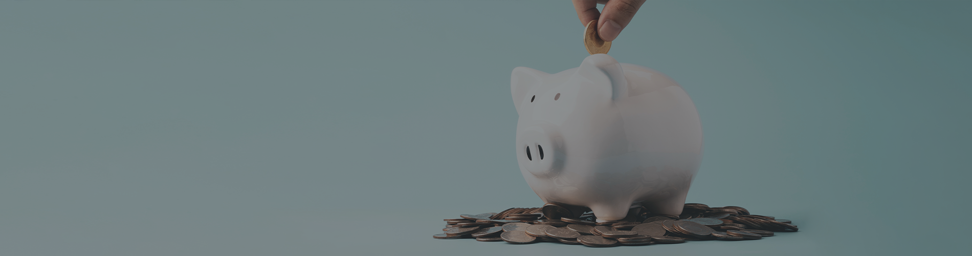 Contribution Pension Plans