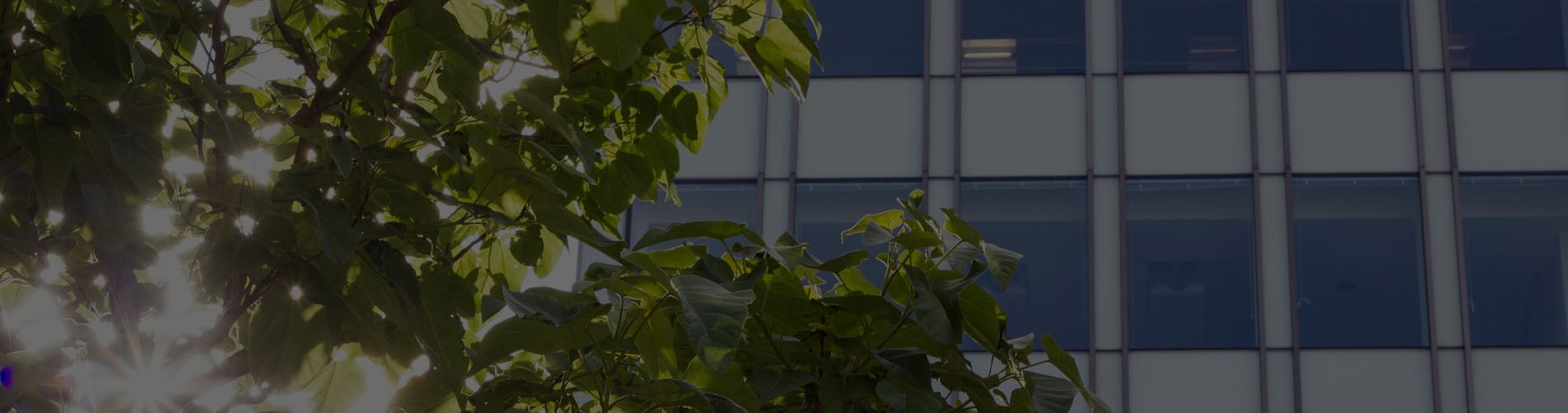 green buildings