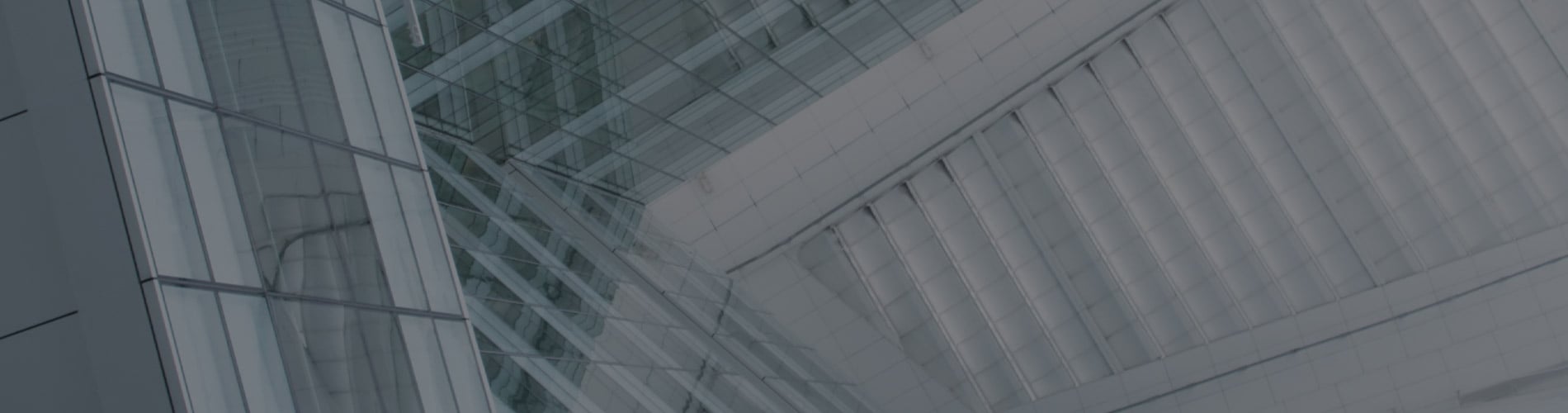 Crisis and Risk Management Survey 2020