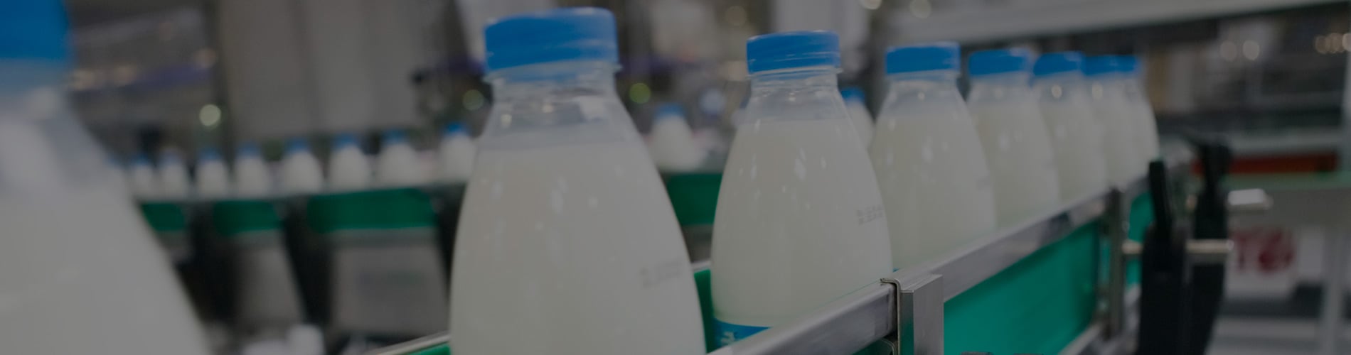 Dairy Production