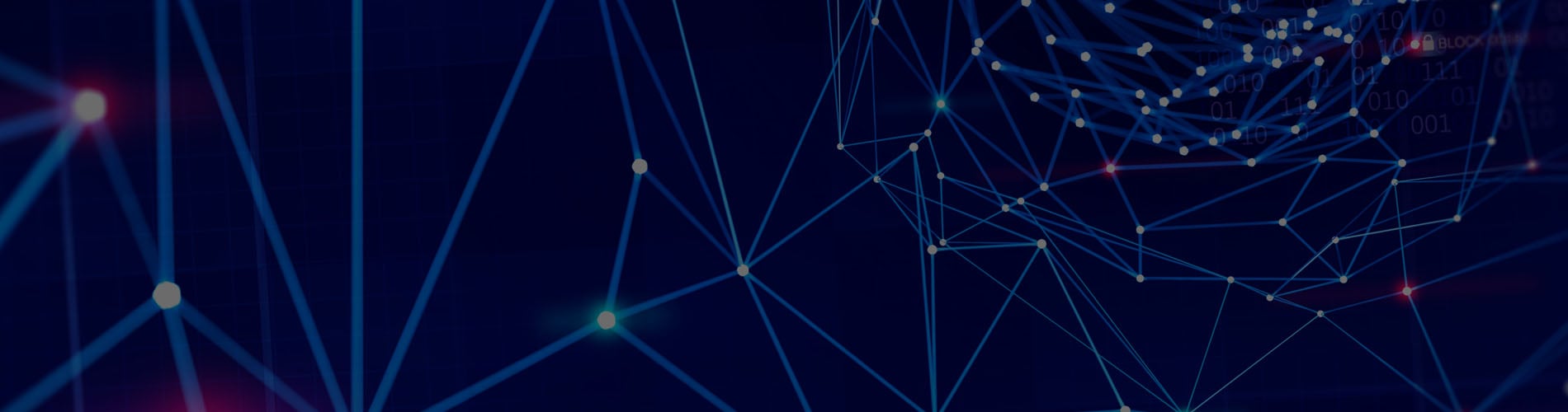data and privacy protection, data privacy law