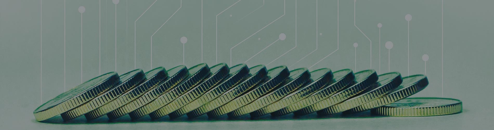 Deciding on a Digital Dollar