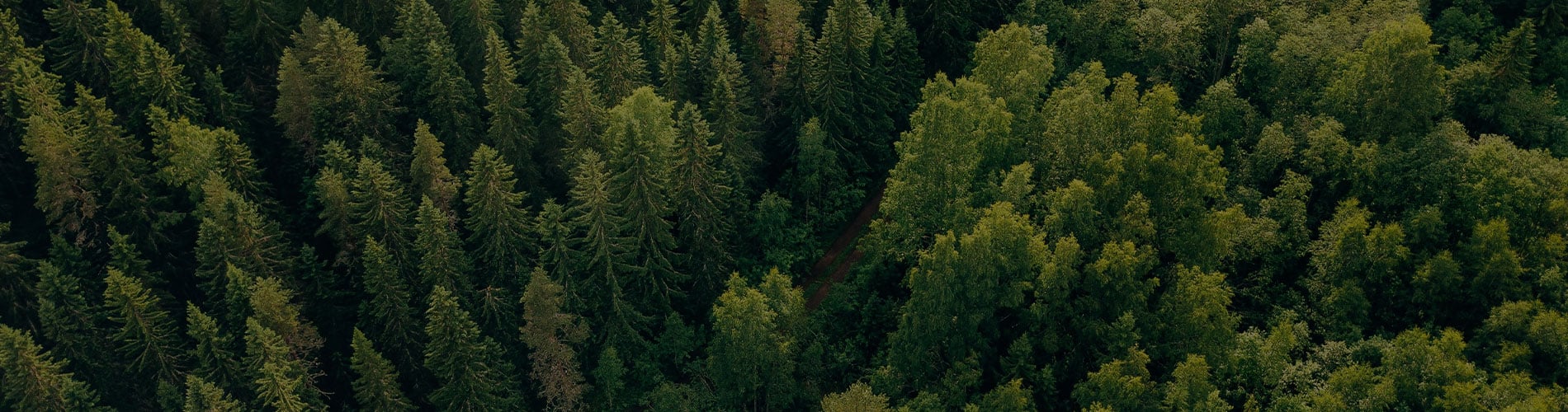 ESG and Institutional Investors Part Two