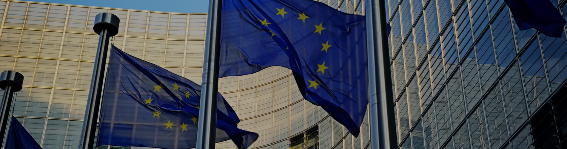 EU flag