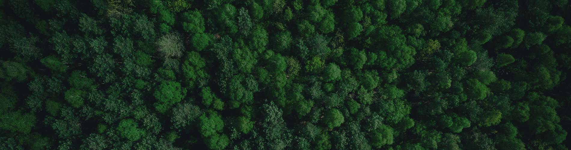 Federal Notice on PFAS Information and Updates to Draft Risk Management Scope Reports